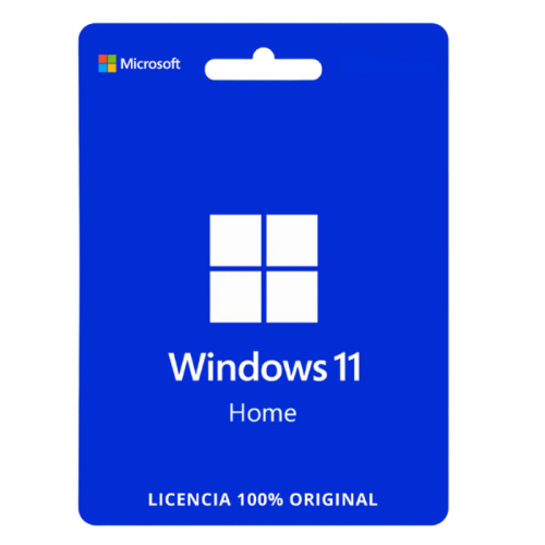 22_Windows_11_Home