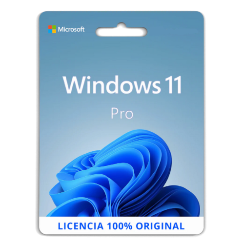 23_Windows_11_Professional