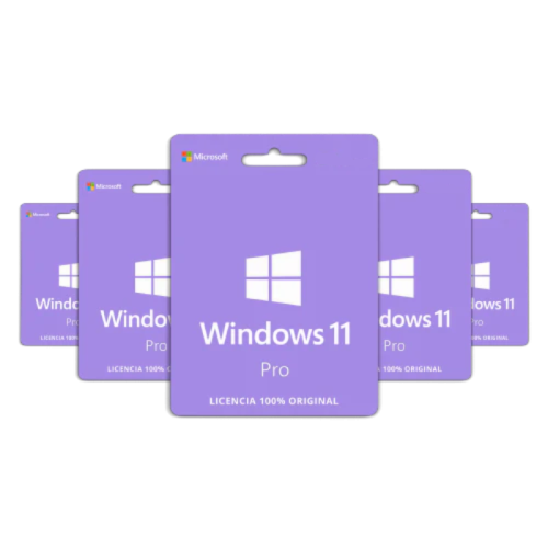 25_Windows_11_Professional_5PCs